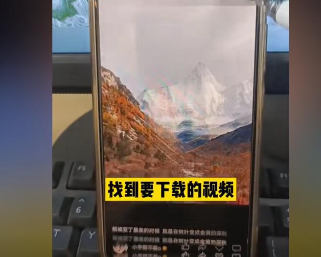 求推荐免费好用的bilibili视频提取工具网站，急！
