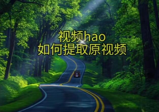 “有没有免费的手机缓存视频提取工具推荐？”