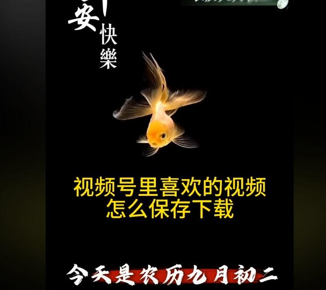 如何把B站视频导入手机相册保存？